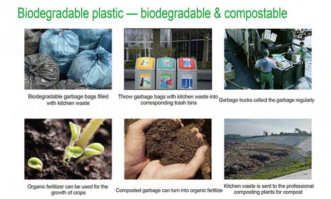 douane van het eco drukte de vriendschappelijke in het groot maïszetmeel de biologisch afbreekbare composteerbare plastic vuilniszakken van 100% op broodje