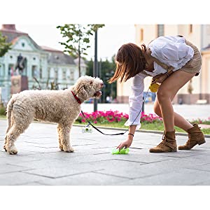 composteerbare het achterschipzakken van pogi