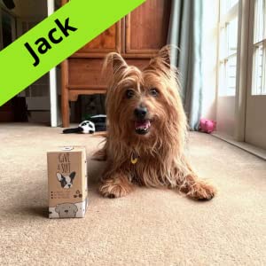 eco vriendschappelijke biologisch afbreekbare plastic composteerbare vuilniszakken, ma&iuml;szetmeel gemaakte biologisch afbreekbare 100% 1