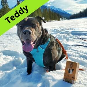 eco vriendschappelijke biologisch afbreekbare plastic composteerbare vuilniszakken, ma&iuml;szetmeel gemaakte biologisch afbreekbare 100% 2