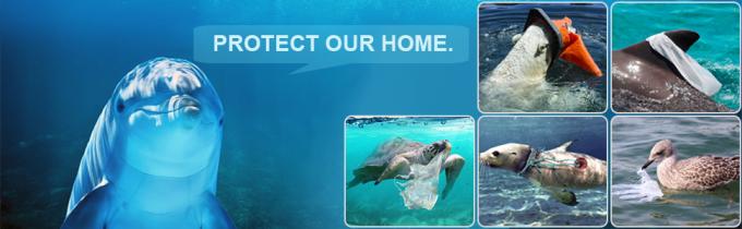 De biologisch afbreekbare beschikbare composteerbare plastic zak en het ma&iuml;szetmeel doen, de vriendschappelijke biologisch afbreekbare composteerbare plastic zak van Eco in zakken 11