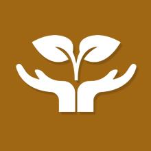 Composteerbare wegwerpbare biologisch afbreekbare zak, milieuvriendelijk composteerbare afvalzakken van maïsstysel 1