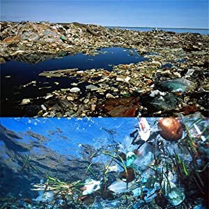 Het maïszetmeel baseerde de Composteerbare Zakken van het Huisdierenafval, de Milieuvriendelijke Composteerbare Zak van het Huisdierenachterschip, de Veilige Zak van het Hondafval, Biologisch afbreekbare Po 3