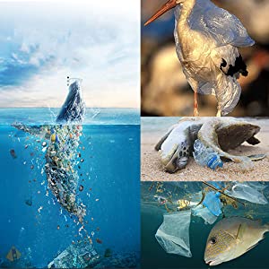 Het maïszetmeel baseerde de Composteerbare Zakken van het Huisdierenafval, de Milieuvriendelijke Composteerbare Zak van het Huisdierenachterschip, de Veilige Zak van het Hondafval, Biologisch afbreekbare Po 4