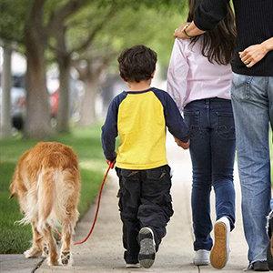 De biologisch afbreekbare Plastic Zakken van het het Afvalachterschip van het Hondhuisdier, unscented het afvalzakken van het hondachterschip met bandhandvatten, douane gedrukt schoon huisdier 0