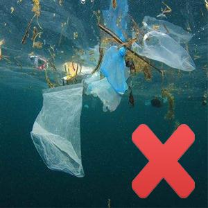 Promotie Goedkope het Afvalzakken van het Douane Milieuvriendelijke Composteerbare Voedsel, zakken van het eco de vriendschappelijke composteerbare biologisch afbreekbare voedsel met 2