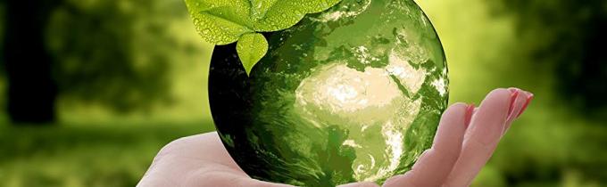 Maïszetmeel Composteerbare het Winkelen Plastic de T-shirtzak van het Voedselhandvat, Aangepast Chemisch afbreekbaar en Composteerbaar Plastic Voedselpak 10