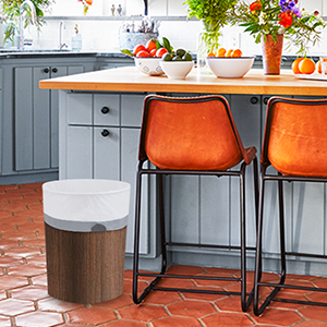 Milieuvriendelijke Plastic Zakken, de T-shirt van 100% Composteerbare Plastic het Winkelen Zakken, PLA, Composteerbare Plastic Zak, Fla 0