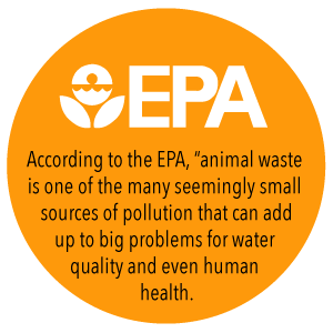 100% de biologisch afbreekbare Composteerbare Plastic Aangepaste Vuilniszak van Drawstring niet, het Biologisch afbreekbare Compost Plastic Drawstring van Eco 1