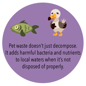 100% de biologisch afbreekbare Composteerbare Plastic Aangepaste Vuilniszak van Drawstring niet, het Biologisch afbreekbare Compost Plastic Drawstring van Eco 2