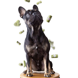 Unscented, de Lekvrije, aarde-Vriendschappelijke van het de Zakachterschip van het Hondafval van het de Zakkendouane Gedrukte In het groot Biologisch afbreekbare Huisdier Zak van het de Hondachterschip 0