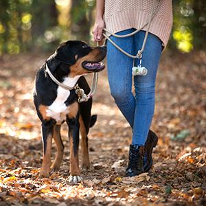 Unscented, de Lekvrije, aarde-Vriendschappelijke van het de Zakachterschip van het Hondafval van het de Zakkendouane Gedrukte In het groot Biologisch afbreekbare Huisdier Zak van het de Hondachterschip 4