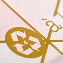 polymailerspolybags die mailers 10x13 verschepen die van de enveloppenontwerper sterk roze groenachtig blauw goud kleden