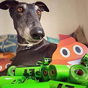 De beschikbare Composteerbare Zak van het Hondachterschip voor Huisdier het Schoonmaken, aarde-Vriendschappelijke Lekvrije het Afvalzakken van het Hondachterschip met gemakkelijk-Bandhandvat 0