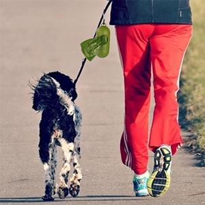 64 biologisch afbreekbare vuilniszak van de gallon de composteerbare vuilniszak, 0,9 Mil, 47 " W x 60 " H, maïszetmeel gemaakte 100%-eco vriendschappelijke direct 1