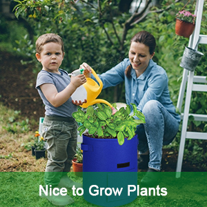 De aardappel kweekt Zakken, kweekt de Installatie de Container van de Zakkentuin de Op zwaar werk berekende Potten van de Verluchtingsstof Niet-geweven Stof groeien dik maakten 5