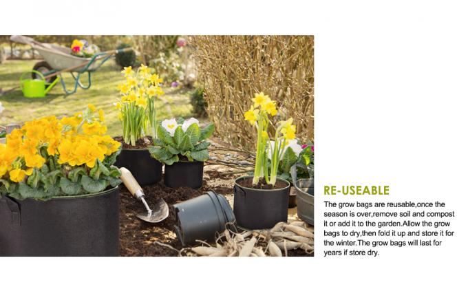 De aardappel kweekt Zakken, kweekt de Installatie de Container van de Zakkentuin de Op zwaar werk berekende Potten van de Verluchtingsstof Niet-geweven Stof groeien dik maakten 10