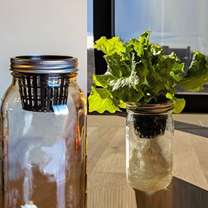 Commerciële Aquaponics-het Groeien van de de Hydrocultuurinstallatie van de Systemen Landbouwserre Binnen Netto de Mand Hydroponic Groente 2