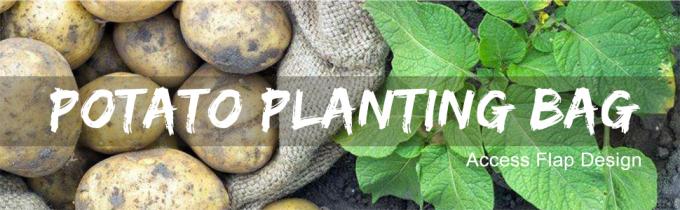 Geventileerde Installaties die Zak planten