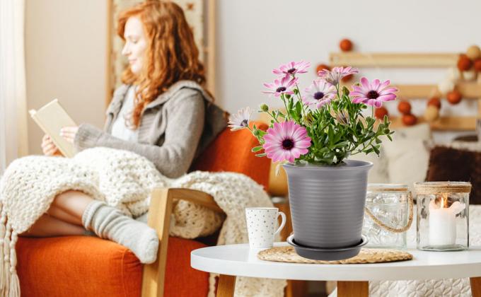 Installaties met Drainage Hydroponic het Groeien Pottenemmer voor Serre, Nederlandse Emmer, de Potten van het Bloemkinderdagverblijf, Balkontuin 6