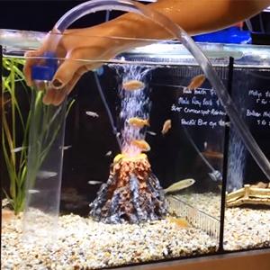 De gevlechte Duidelijke Vinylslang van het Buizenstelselpvc Layflat van het Buizenstelsel Duidelijke Buizenstelsel Vinyl, Mijn Industriële Landbouwirrigatie, Pijp 4