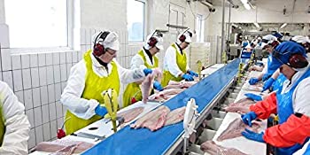 Beschikbare schorten