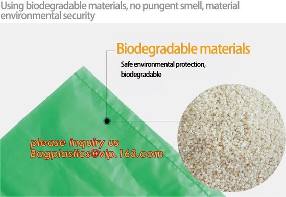 Gemaakt van Installaties paste in het groot biologisch afbreekbare composteerbare apotheekzak met hemdshandvat aan