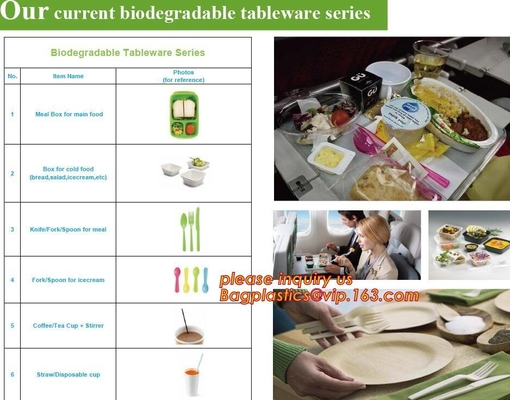 het maïszetmeelvaatwerk plaatst biologisch afbreekbaar cakedienblad, Pulp Rechthoekig Tray Paper Food Tra van de Maïszetmeel de Witte Gevormde Vezel