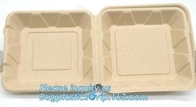 Schotels &amp; Platenvaatwerkblaar die van het het Voedsel Dienende Dienblad van Resturant Beschikbare het voedsel beschikbare container verpakken