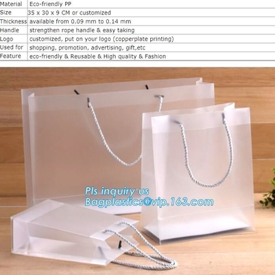 resealable het ondergoed verpakkende zakken van de schuifritssluiting met embleem, steen berijpten pvc-de zak plastic zak van de schuifritssluiting met ritssluiting