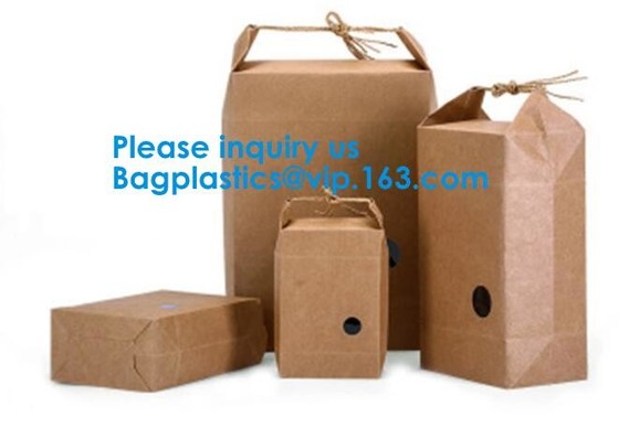 De Gift van de drukverpakking het Winkelen keurt de Bruine Kraftpapier Document Zak Aangepaste Logo Paper Bag With Rope-bagplasti van Handvatbagease goed