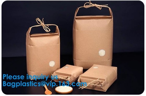 De Gift van de drukverpakking het Winkelen keurt de Bruine Kraftpapier Document Zak Aangepaste Logo Paper Bag With Rope-bagplasti van Handvatbagease goed