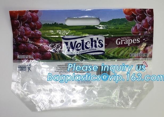 de zakken van de de schuifopslag van de verpakkingszak met wit blok, Geperforeerde Standup Zakken voor Vers Fruit met Goedkope Prijs, zippe