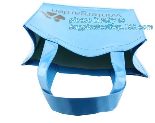 De heet-verkoopt van de Binnenkantvrouwen van de Ouderspu/pvc Zak zak van de de Handtassenschouder, semi-Duidelijke Tote Bag-van de het Strandzak van pvc de Schouderzak met