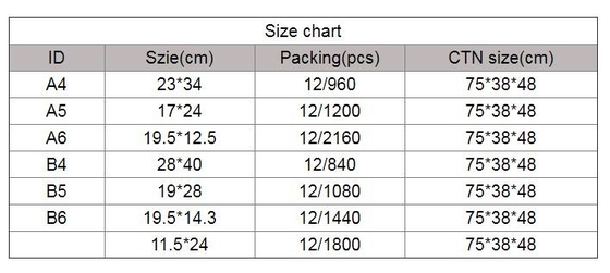 In het groot van de Leveringsa4/5/6 Mesh Zipper Document Bag Multicolor pvc A4 van de Bureauschool de Archievencontract, Bureauschool Supplie