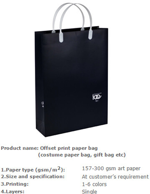De zak van de maniertotalisator, het document van de Manierluxe zak, het document van de Manierdrager zak, het document van Manierkraftpapier zak, het document van de Manierdoek zakken