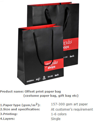 De zak van de maniertotalisator, het document van de Manierluxe zak, het document van de Manierdrager zak, het document van Manierkraftpapier zak, het document van de Manierdoek zakken