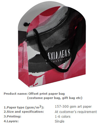 Milieuvriendelijke document zak, Kostuumdocument zak, het document van kraftpapier van de Kostuumverpakking zak, de zak van de Kostuumverpakking, Kostuumzak, Kosmetische B
