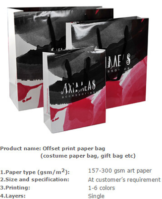 Milieuvriendelijke document zak, Kostuumdocument zak, het document van kraftpapier van de Kostuumverpakking zak, de zak van de Kostuumverpakking, Kostuumzak, Kosmetische B
