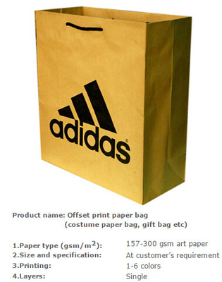 Milieuvriendelijke document zak, Kostuumdocument zak, het document van kraftpapier van de Kostuumverpakking zak, de zak van de Kostuumverpakking, Kostuumzak, Kosmetische B