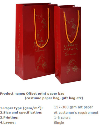 Kraftpapier-het winkelen zak, kraftpapier gerecycleerde het winkelen zak, in het groot document het winkelen zak met embleem, Luxe het Kleinhandelsdocument Winkelen