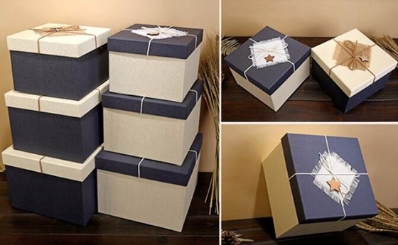 Douane Logo Luxury Packing Paper Box voor Horloge/Schoen/Theezakjes, het document van de het Boekvorm van de Papieren zakdoekjekleding Verpakkende vakjes pac
