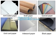 Document Giftzakken met Handvatten Matte Tote Paper Bags, het Winkelen Zakken, Kraftpapier-Zakken, Kleinhandelszakken, Partijzakken
