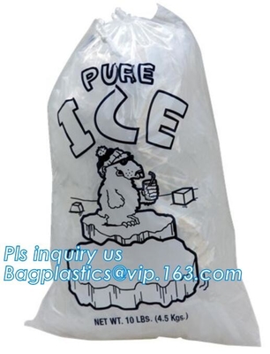 De COMPOSTEERBARE aangepaste ijszak met het drawstring, het Ijszak van Wicket van het Voedsel Industriële Gebruik Plastic, ijszak op broodje, Ijs doet wi in zakken