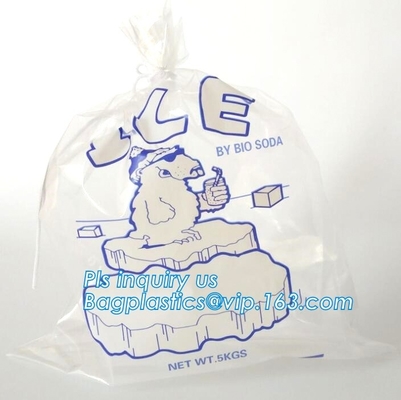 Het PAKzakken van ijs van ECO VRIENDSCHAPPELIJKE, de GROENE VERPAKKING van ECO, BIOijs-ZAK, beschikbare drawstring hoogste glashelder ijs plastic zak,