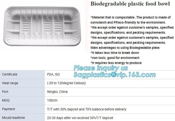 HET SUIKERRIET VORMT DE CONTAINERS VAN DE PLAATkom, ECO VRIENDSCHAPPELIJKE BIOGERADABLE CULTERY, PLA-DIENBLAD, ZETMEEL GEBASEERDE TOT EEN KOM COMPOSTEERBARE PRODUCTEN