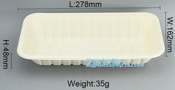 HET SUIKERRIET VORMT DE CONTAINERS VAN DE PLAATkom, PLA-VOEDSELdienblad, CULTERY, STRO, ECO VRIENDSCHAPPELIJKE BIOGERADABLE COMPOSTEERBARE BAGEASE PACKA TOT EEN KOM
