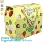 groenten en vruchten die golfvakje met gedrukte kleur inpakken, Golfdocument Vakje Goedkope Fruitkartons die voor Zout inpakken