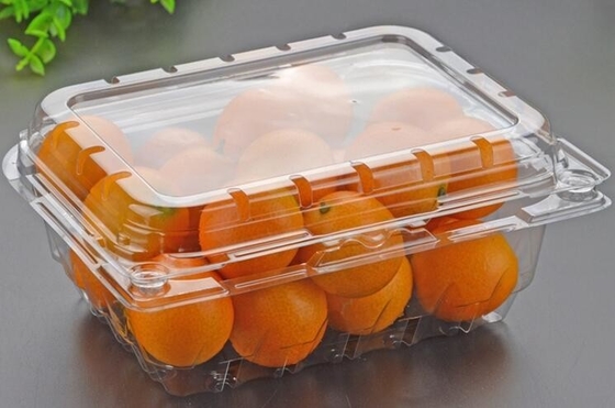 De hete Verkopende Plastic Containers van de HUISDIERENsandwich koeken Plastic Meeneem het Voedseldoos van de Broodcontainer met samengevoegde dekkingsbagease