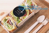 Plastic in het groot de lunchdoos van de voedselcontainer meeneem, de doos van de de doossalade van Susi van de HUISDIEREN Plastic container, dienbladen van het sushi de dienende voedsel sus